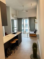 Loft @ Rangoon (D8), Apartment #577445751